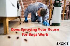 House Spraying