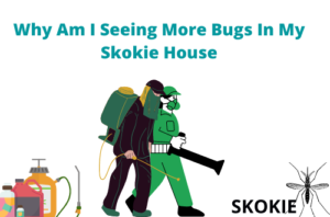 Bed Bugs in Skokie House